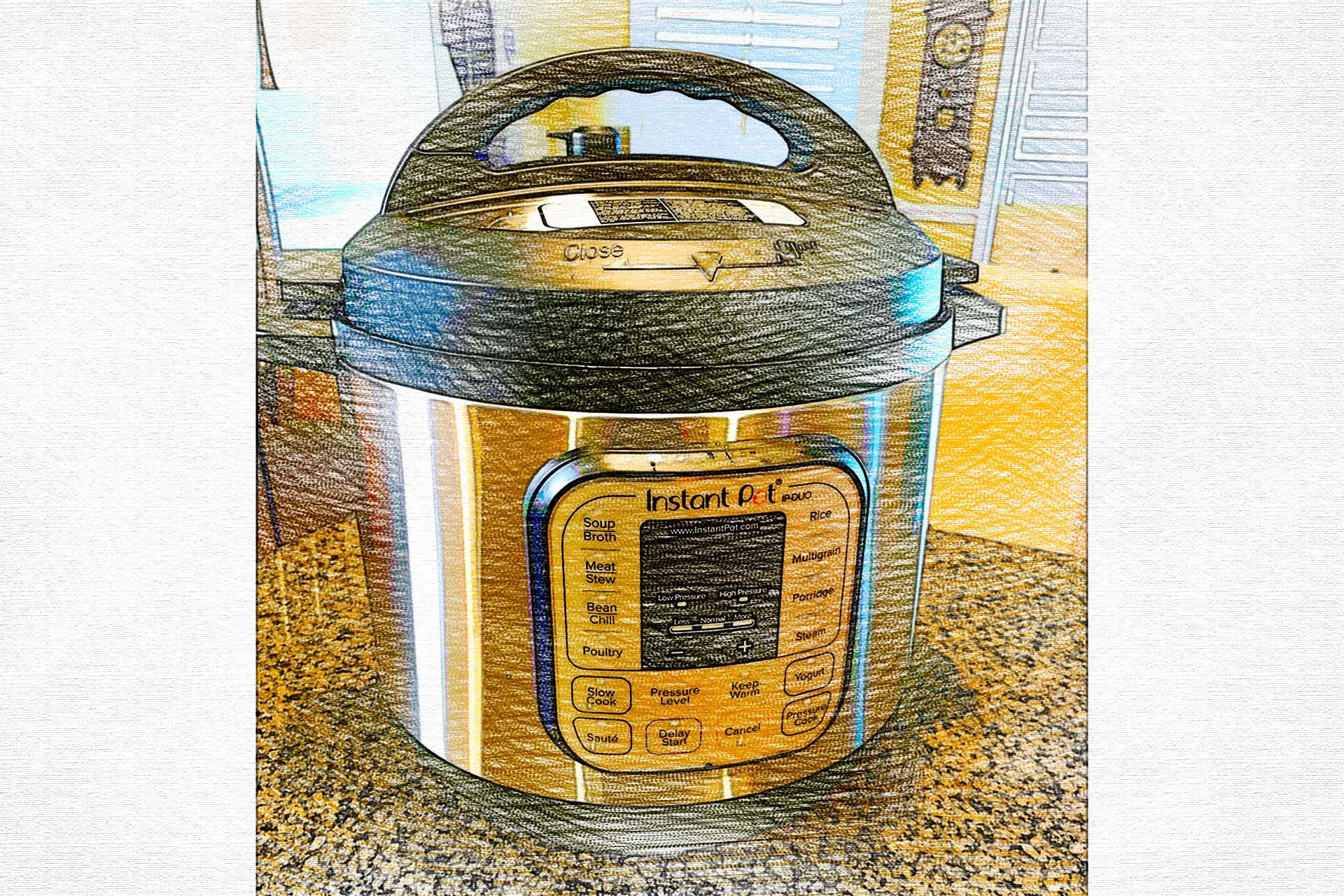 Instant Pot Reviews Is it Worth it? Sports Moms
